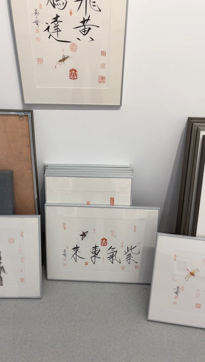 【闪购商品】书法书法--草虫---带框---