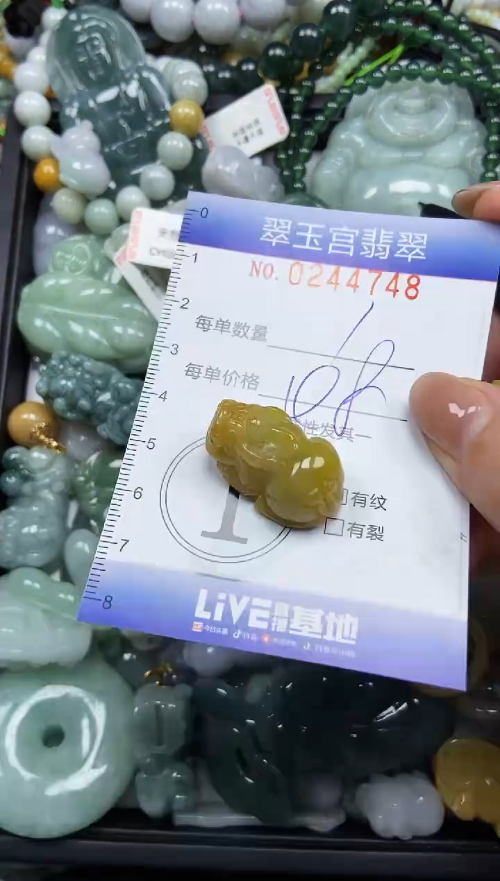 颈饰未镶嵌翡翠闪购C0244748