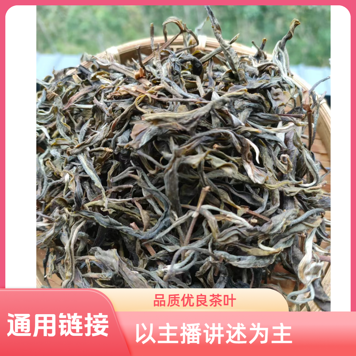通用链接【老挝高杆古树 普洱茶散茶】