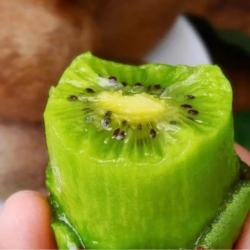 大果:贵州原生态种植修文猕猴桃贵长猕猴桃（假一赔十）5斤