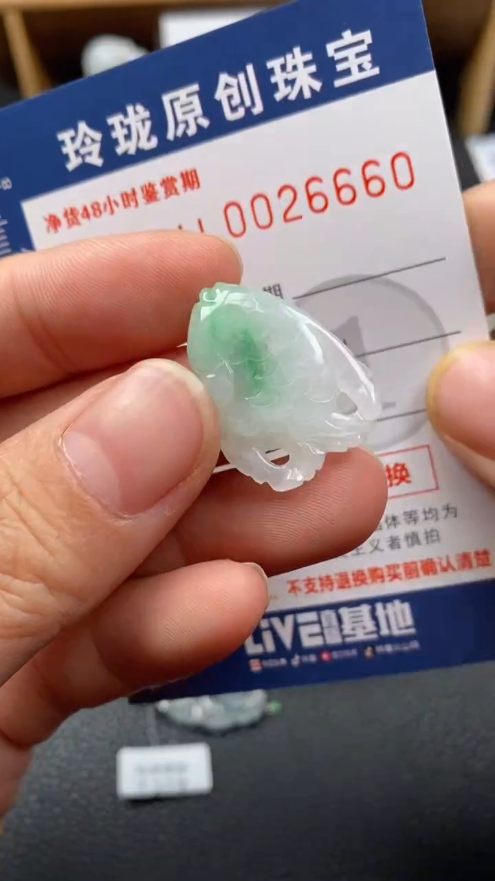 【闪购商品】翡翠颈饰未镶嵌翡翠净货26660