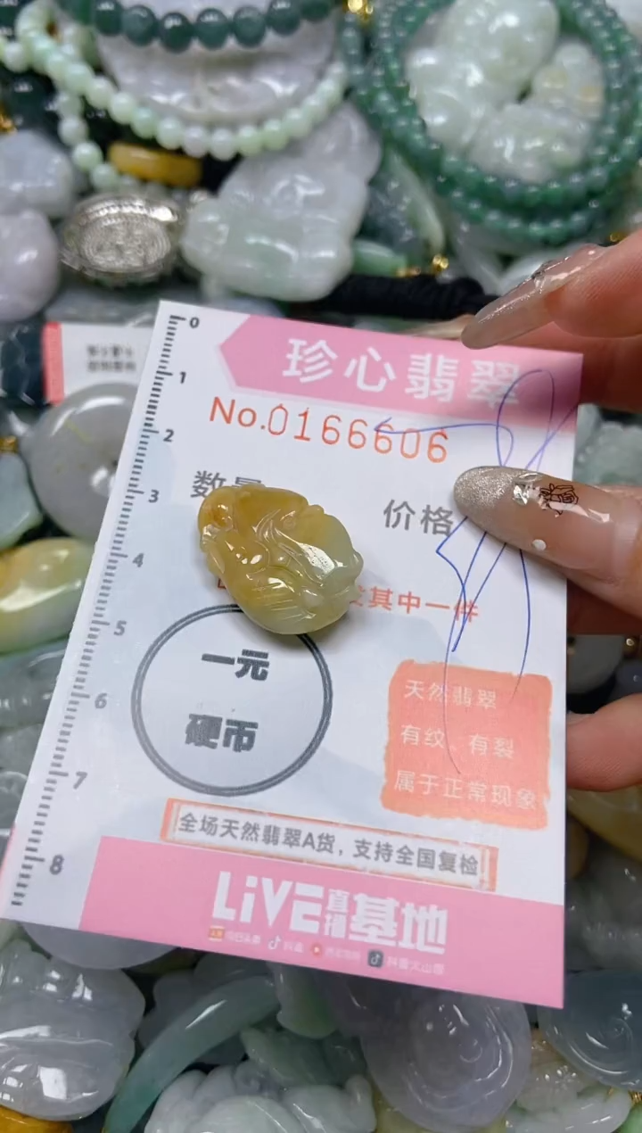 【闪购商品】翡翠颈饰未镶嵌闪购0166606