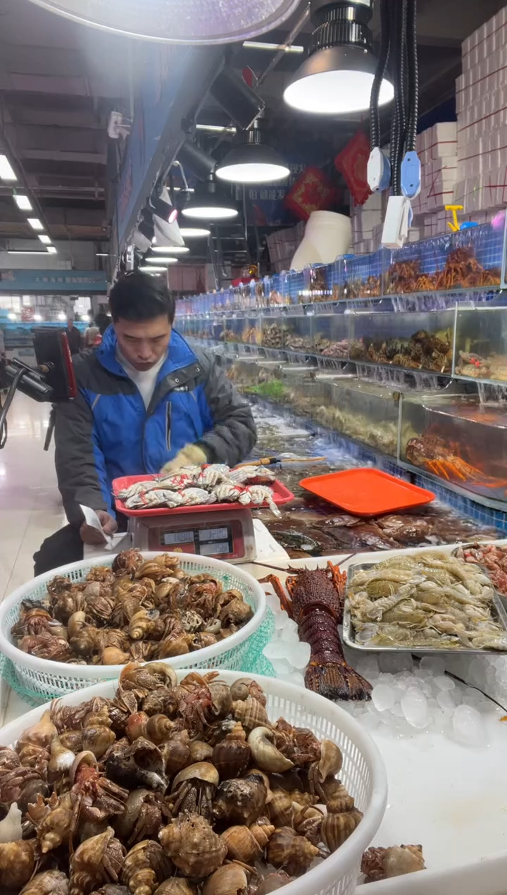 中国大陆断氧母飞，10只，3.5斤