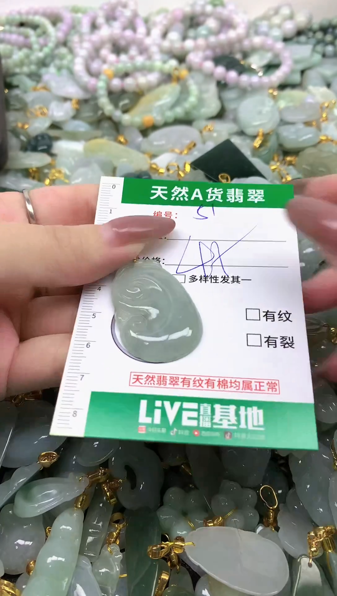 颈饰未镶嵌翡翠纯天然缅甸A货翡翠-51