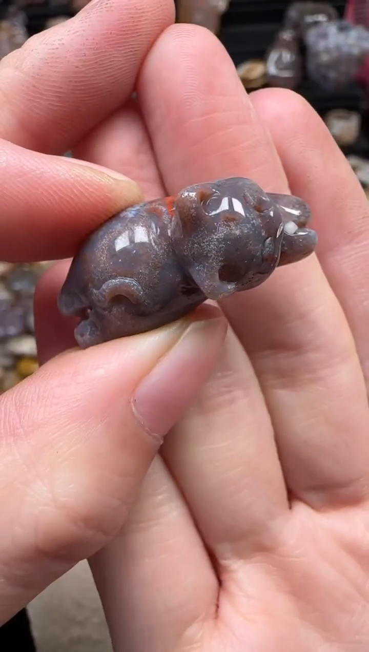 颈饰未镶嵌硅化珊瑚（珊瑚玉）226