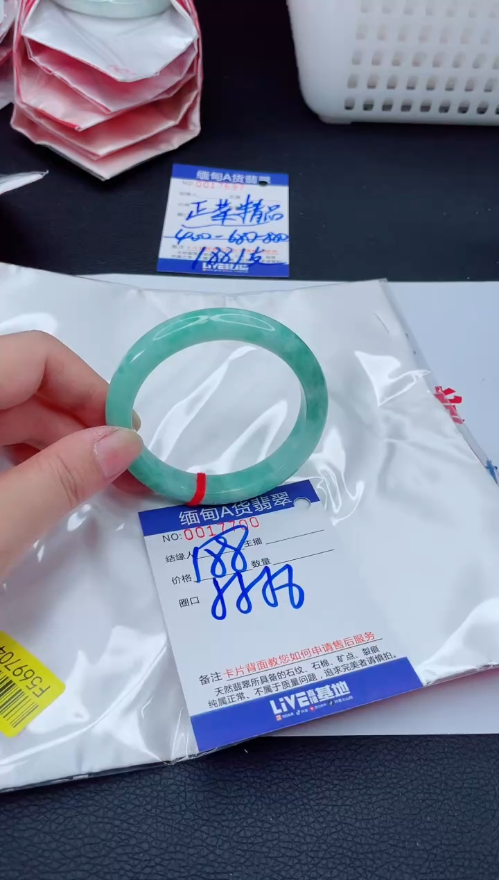 未镶嵌手镯翡翠我2