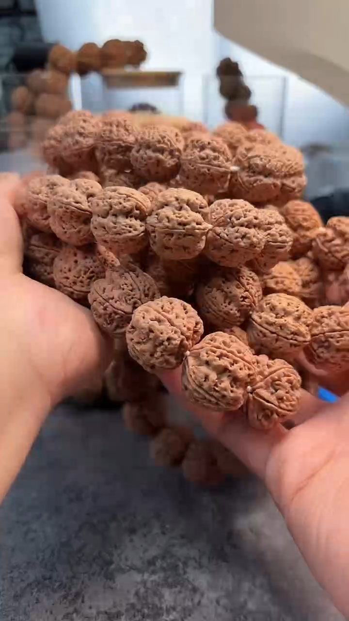 手串金刚菩提005
