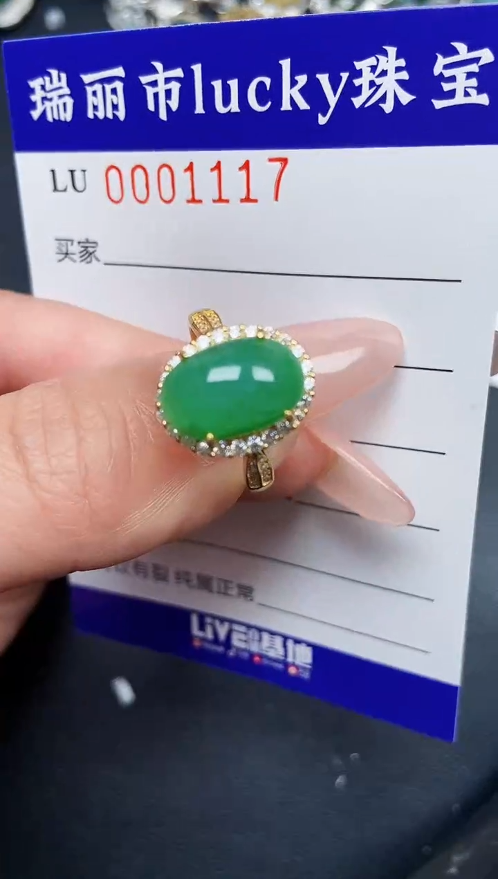 【闪购商品】翡翠颈饰银S925镶嵌1117