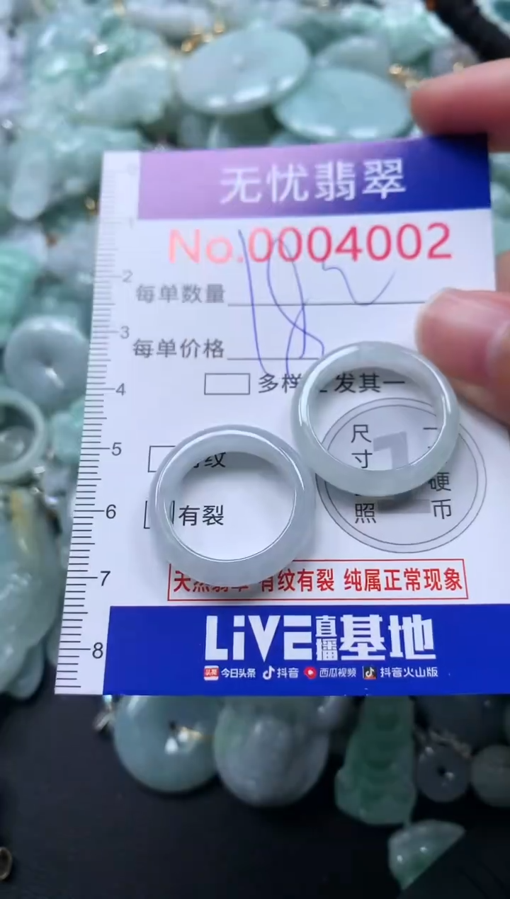 颈饰未镶嵌翡翠4002