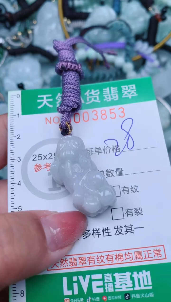 【闪购商品】翡翠颈饰未镶嵌.0003853