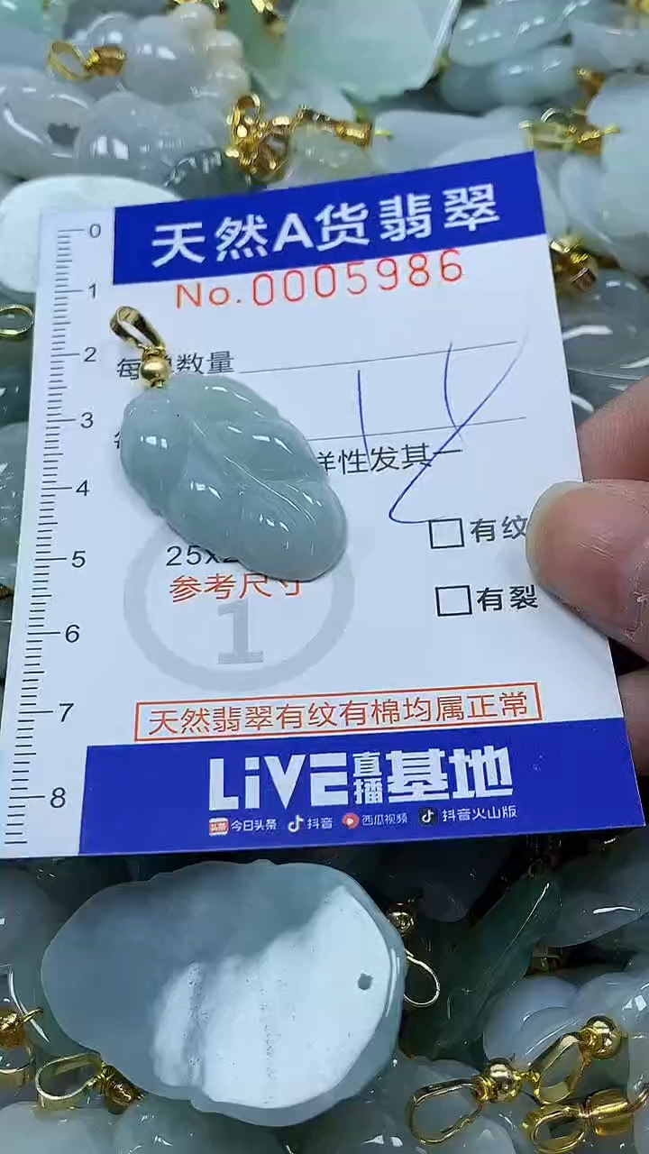 颈饰未镶嵌翡翠纯天然a货翡翠