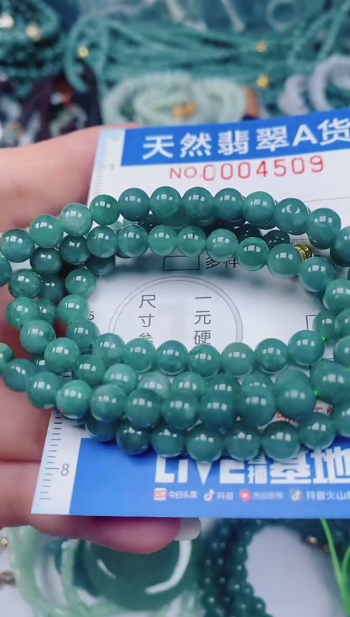 颈饰未镶嵌翡翠00004509