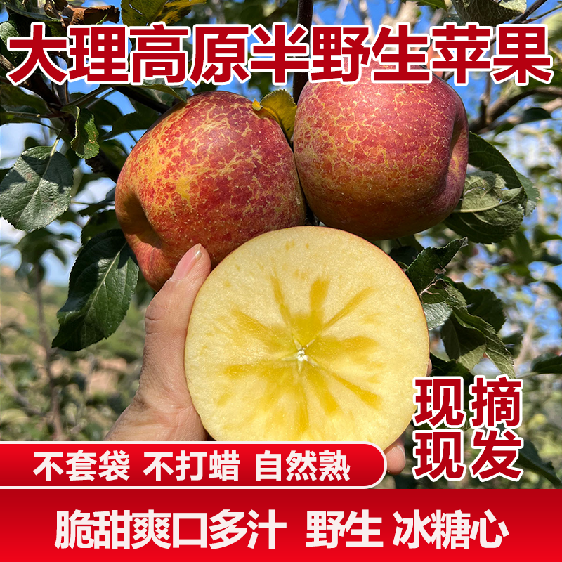 【研究所精选】大理宾川正宗丑苹果脆甜多汁3斤中果