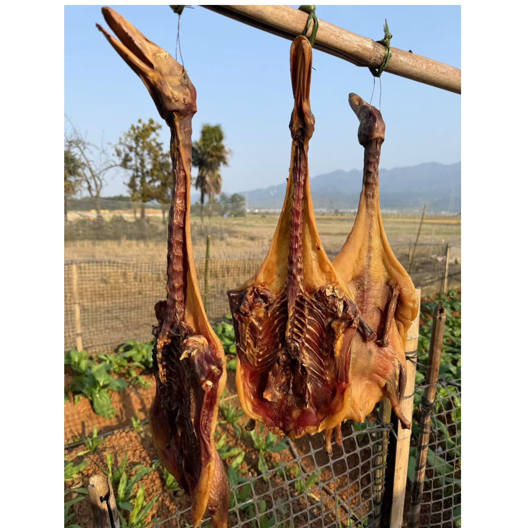 【乡村好货】湖南农家 风吹鸭【包邮】