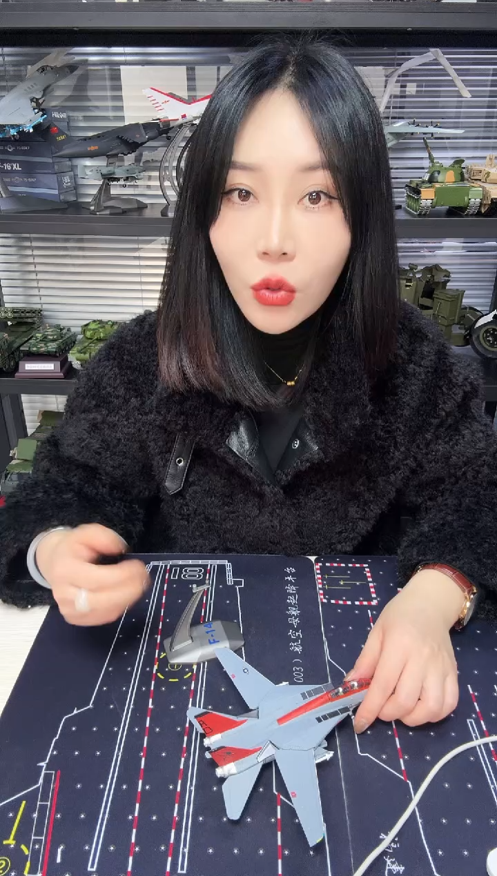 1/100F14飞机模型