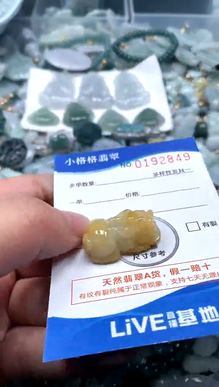 【闪购商品】翡翠颈饰未镶嵌闪购商品0192849