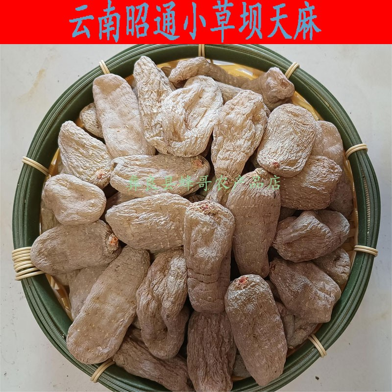 云南昭通天麻小草坝天麻干天麻湿麻冬麻新鲜生鲜麻产地直销