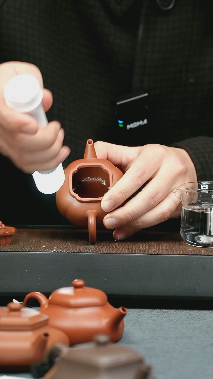 【闪购商品】紫砂茶壶五堂 剑流狮球