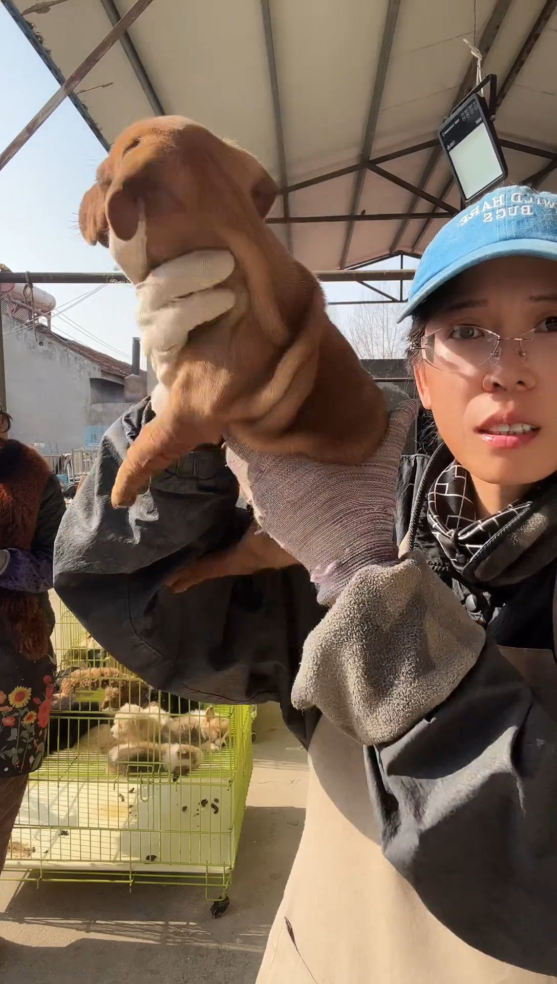  你就能就能打开佳能的