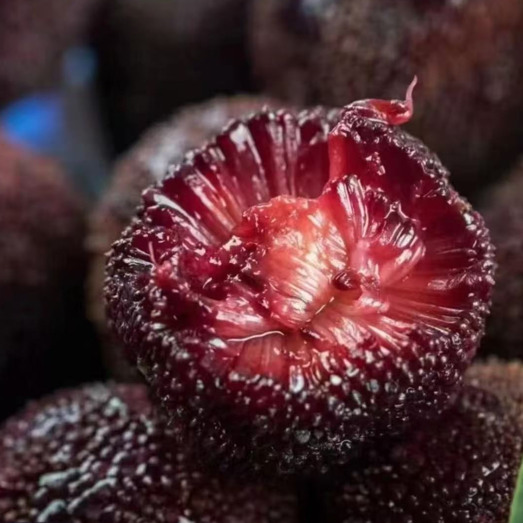 【顺丰】云南炭黑东魁杨梅 新鲜杨梅 2/5斤（仅发南京）