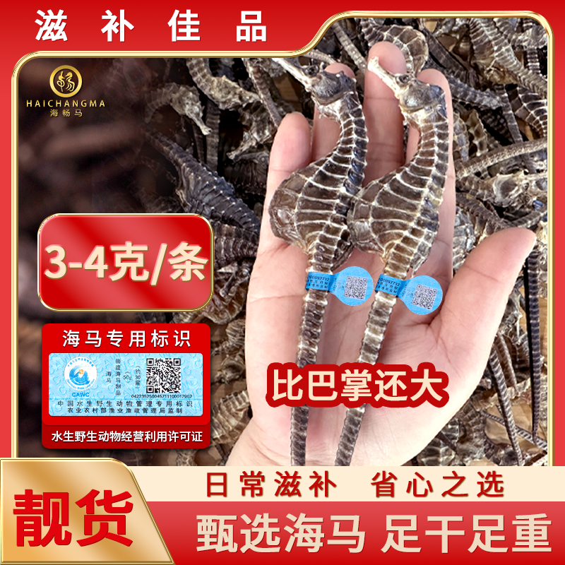 「特大马3-4克/条」A级正品海马干货足干用于煲汤泡酒专用滋补佳品