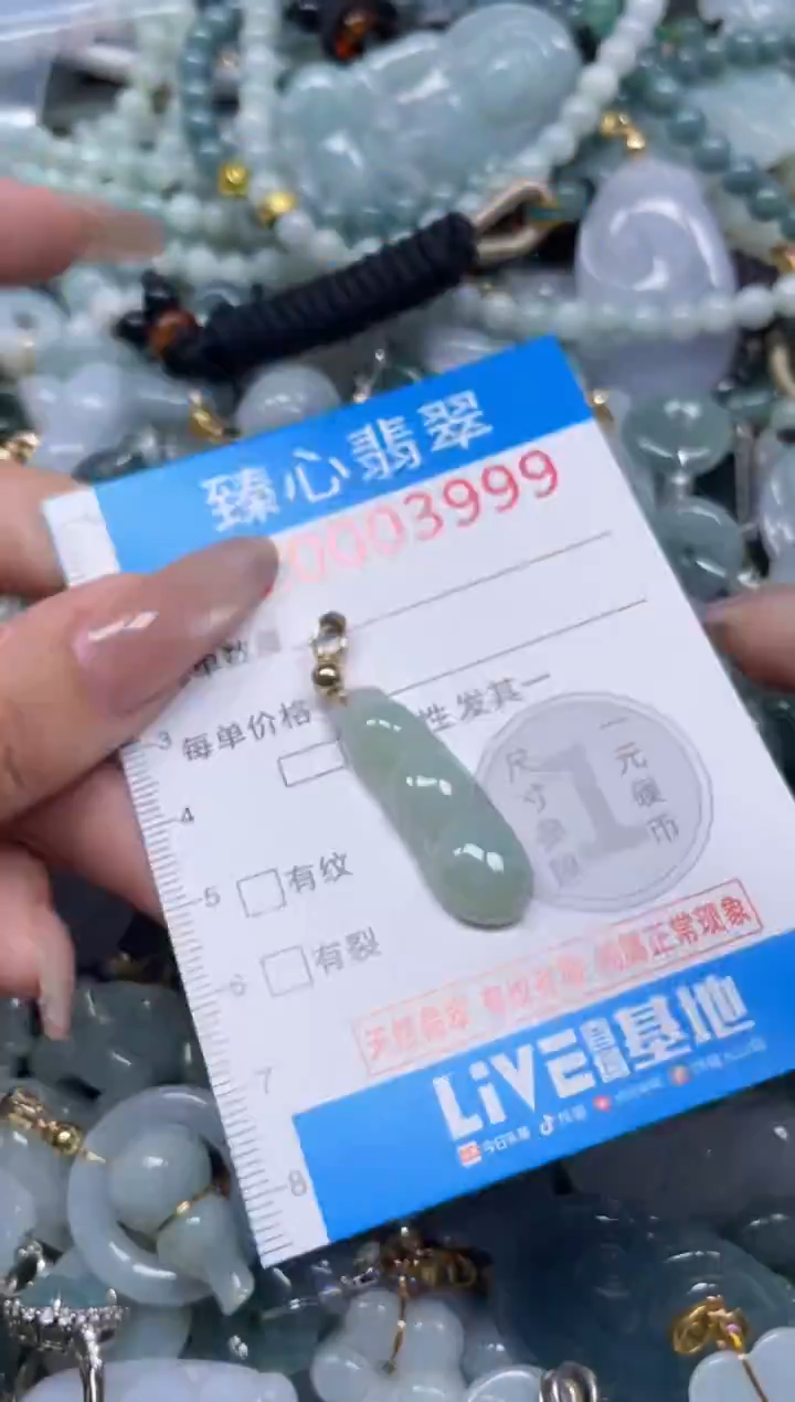 颈饰未镶嵌翡翠3999