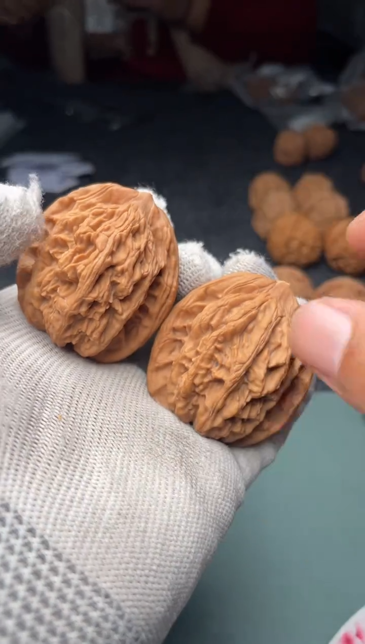 核桃a234    麦虎    40尺