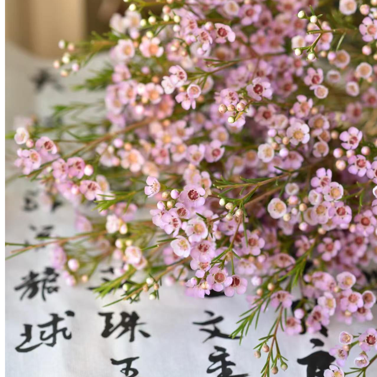 【我种花】春樱腊梅春季鲜花东方美学家用生活花材云南直发