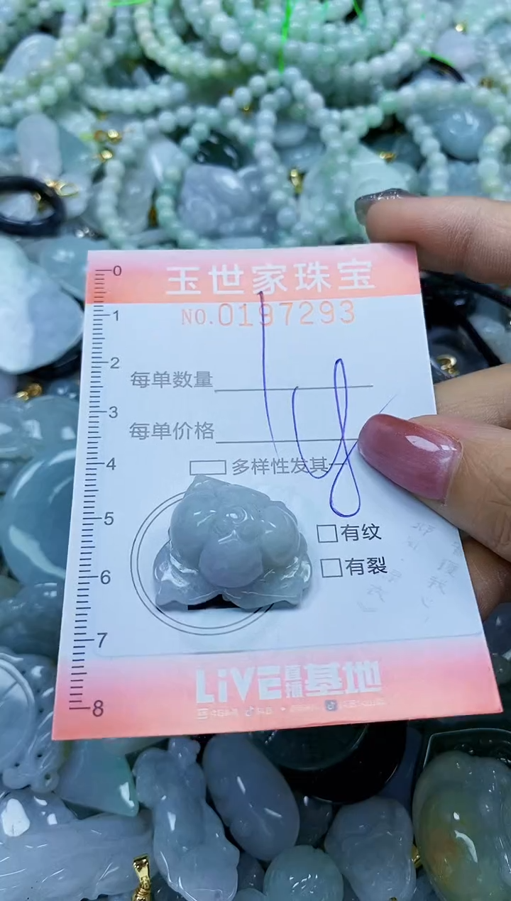 【闪购商品】翡翠颈饰未镶嵌闪购0197293