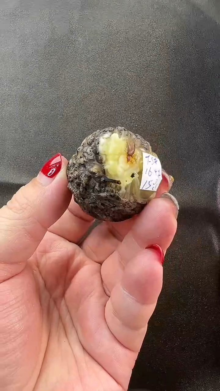 【闪购商品】琥珀颈饰未镶嵌吊坠