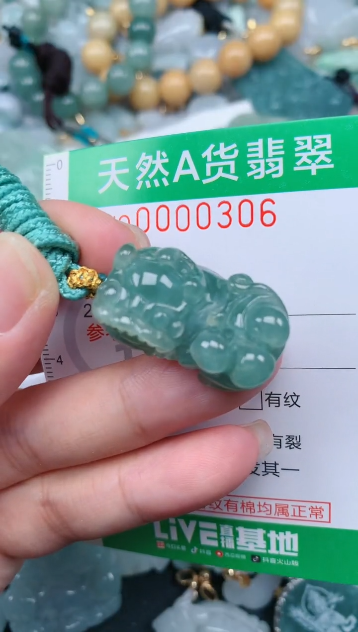 翡翠未镶嵌颈饰.0000306