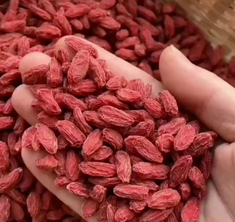 免洗大颗粒枸杞可泡茶泡酒滋补佳品