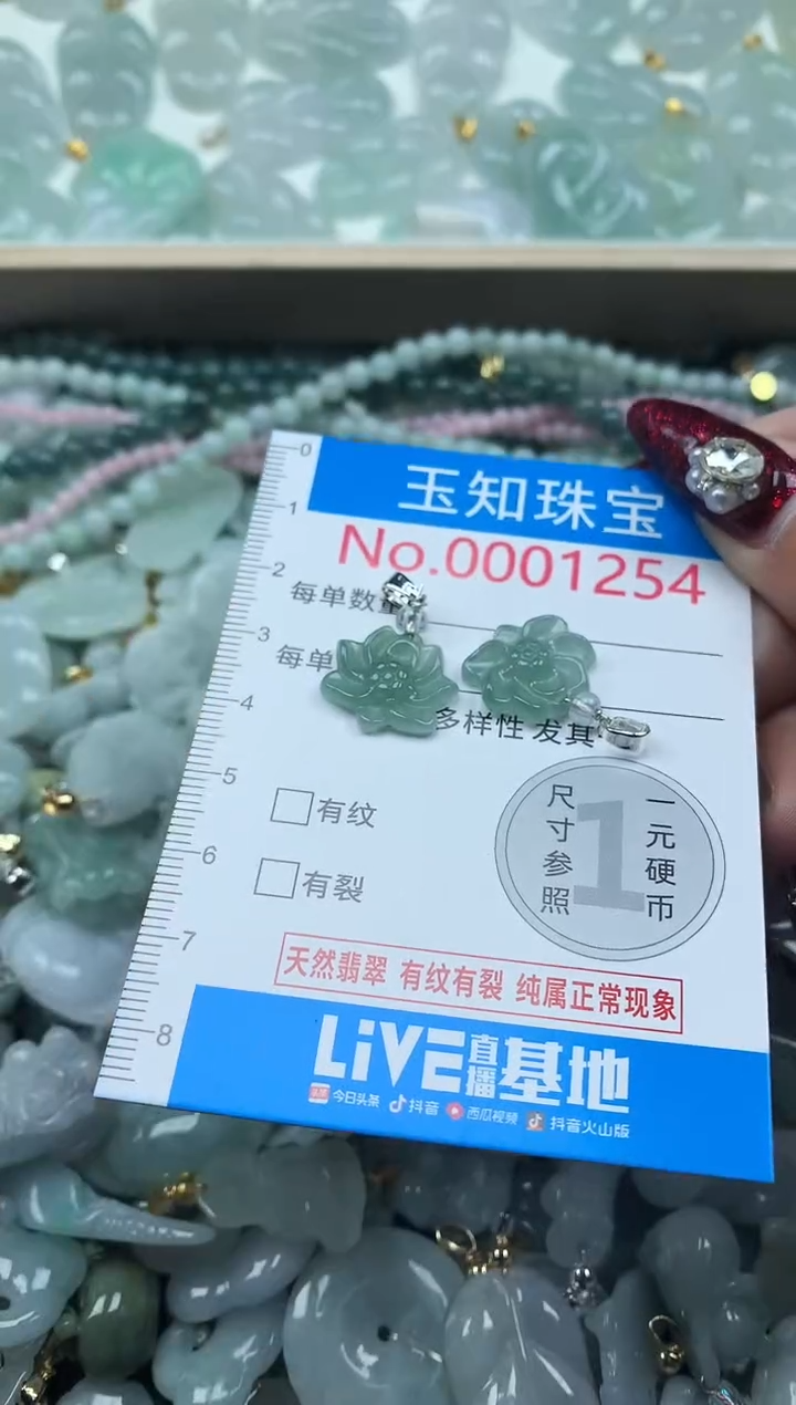 颈饰未镶嵌翡翠1254
