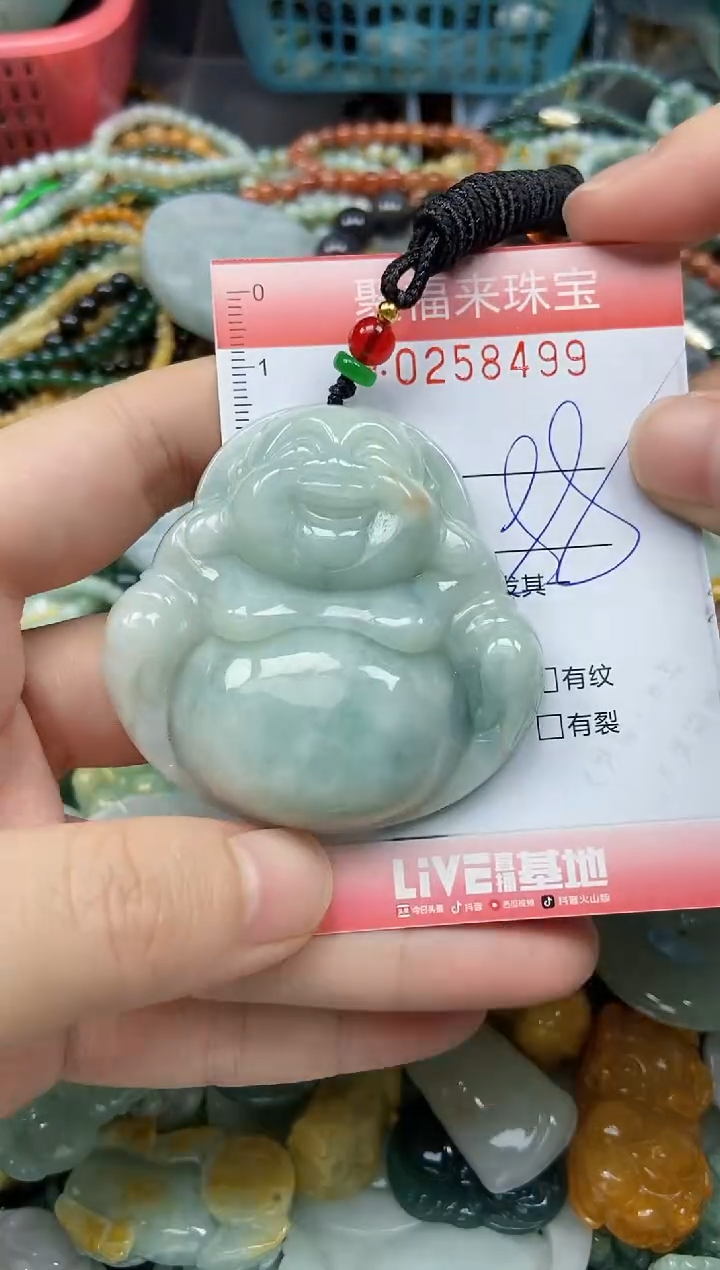 未镶嵌挂件翡翠闪购0258499