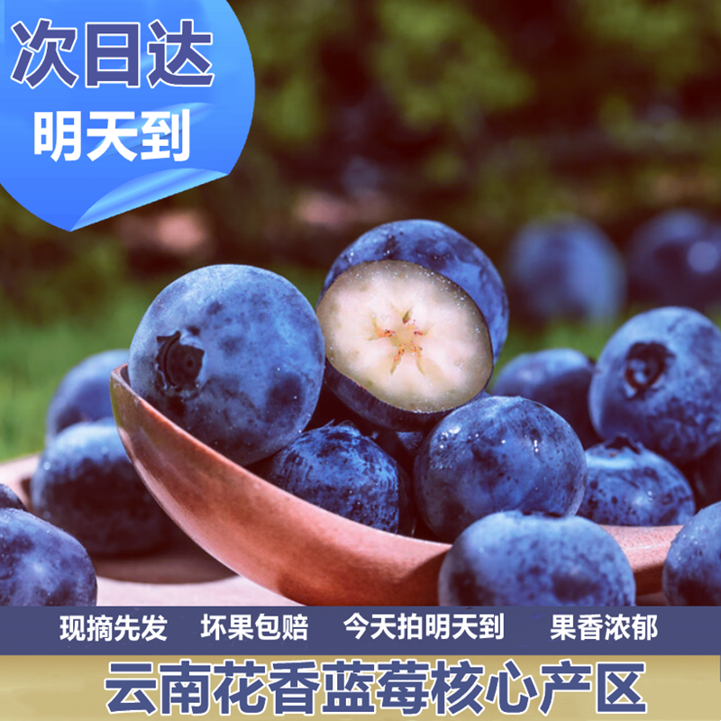 【明日达】花香蓝莓云南澄江蓝莓4/8盒礼盒装18mm-28mm新鲜采摘xn14云南省