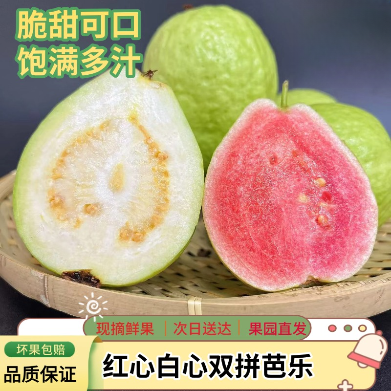京东同城配送彩虹双拼红心芭乐水果白心芭乐爽脆和软糯红白心番石榴奶油芭乐3-5斤新鲜广东省