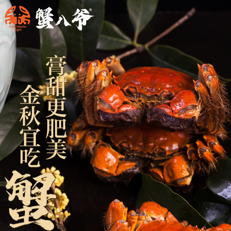 蟹八爷【活蟹】有机大闸蟹全公3-3.3两8/10只礼盒装