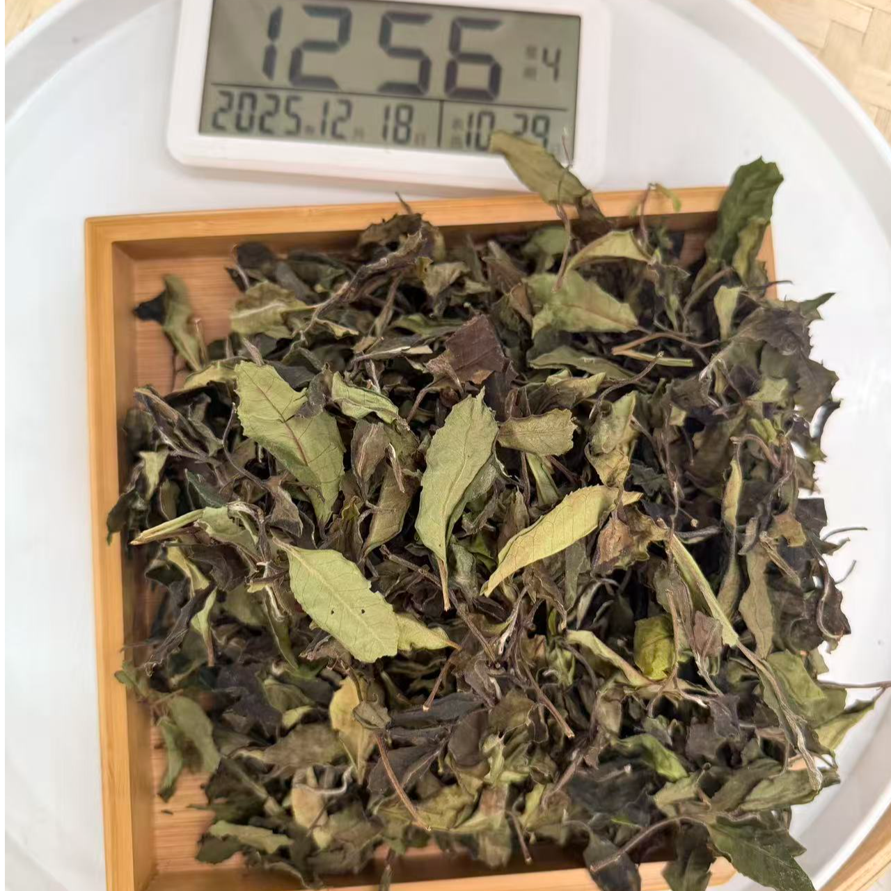 司丽严选-2570号2025年易武新山荒野单株白茶白茶散茶12-18