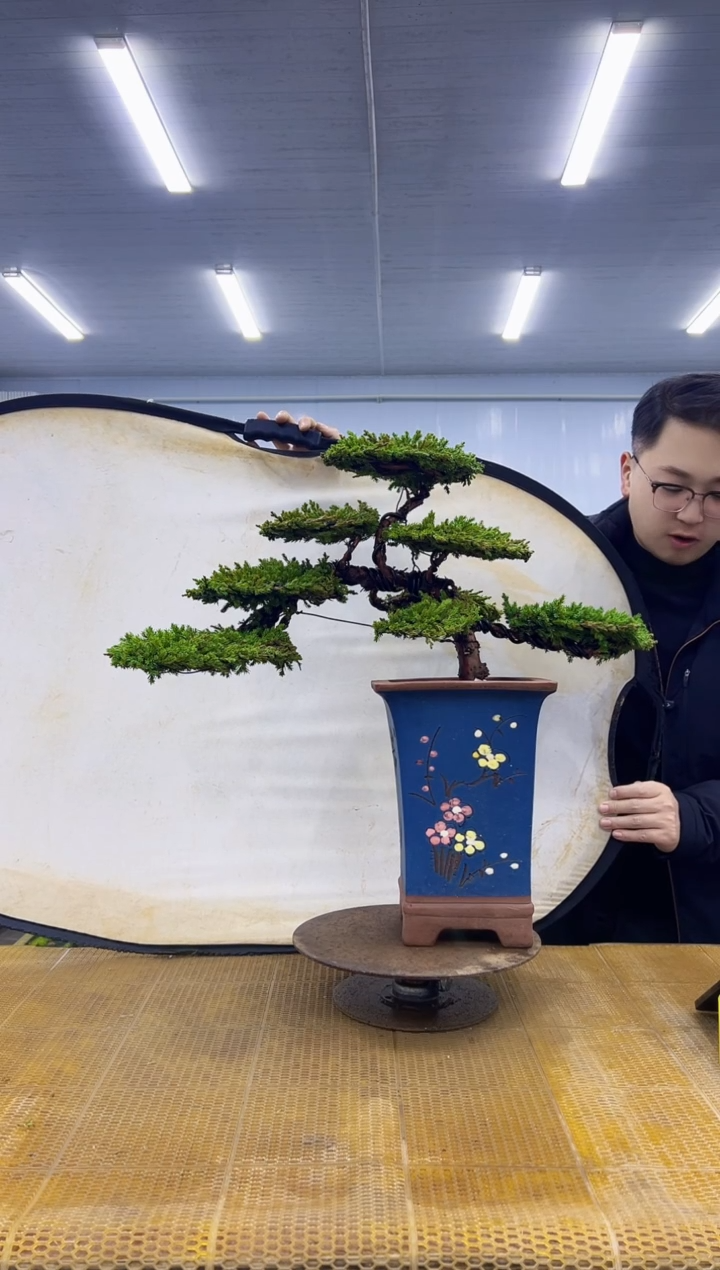 无花朵000000000000000