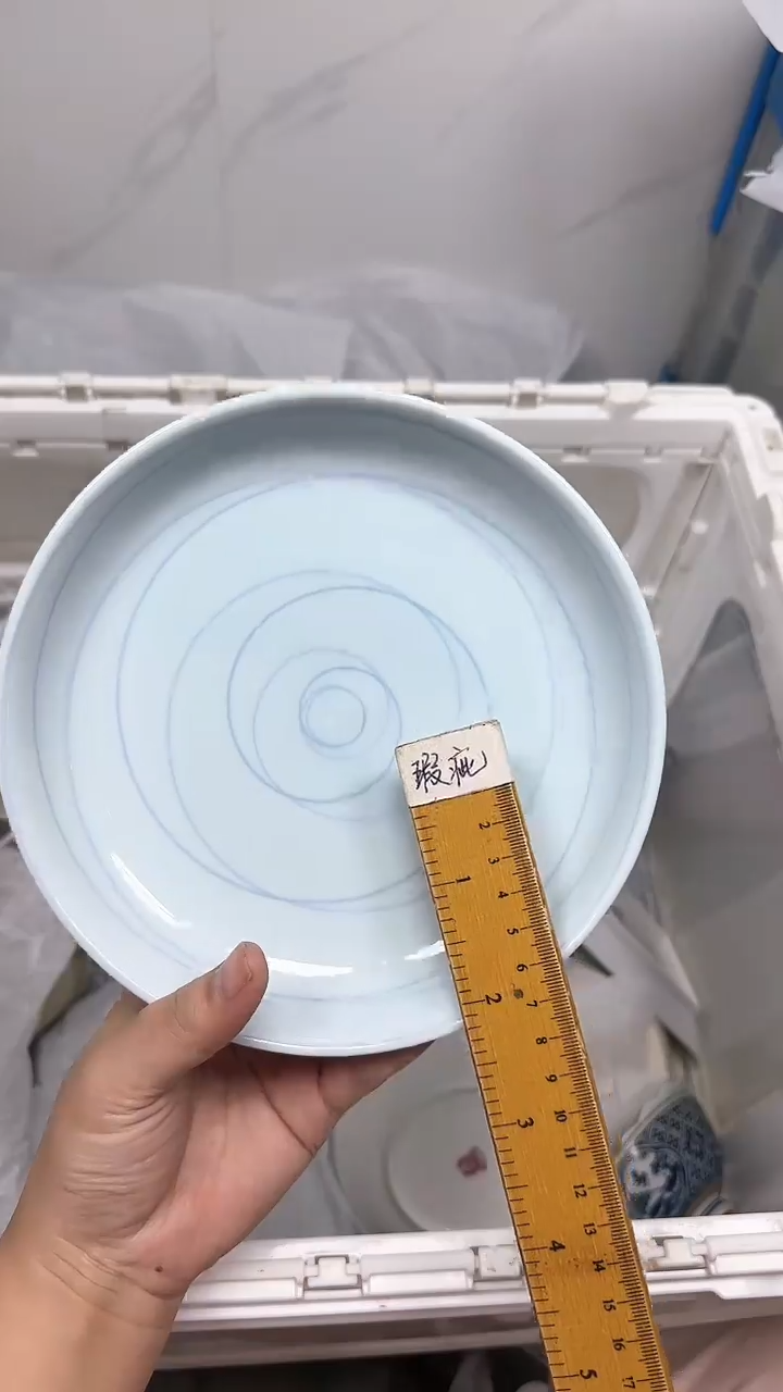 【闪购商品】676回流瓷器默认微瑕，18.8包邮