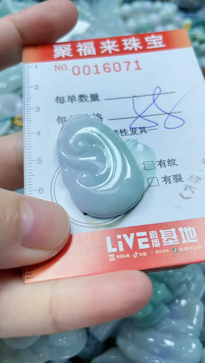 【闪购商品】翡翠颈饰未镶嵌闪购0016071