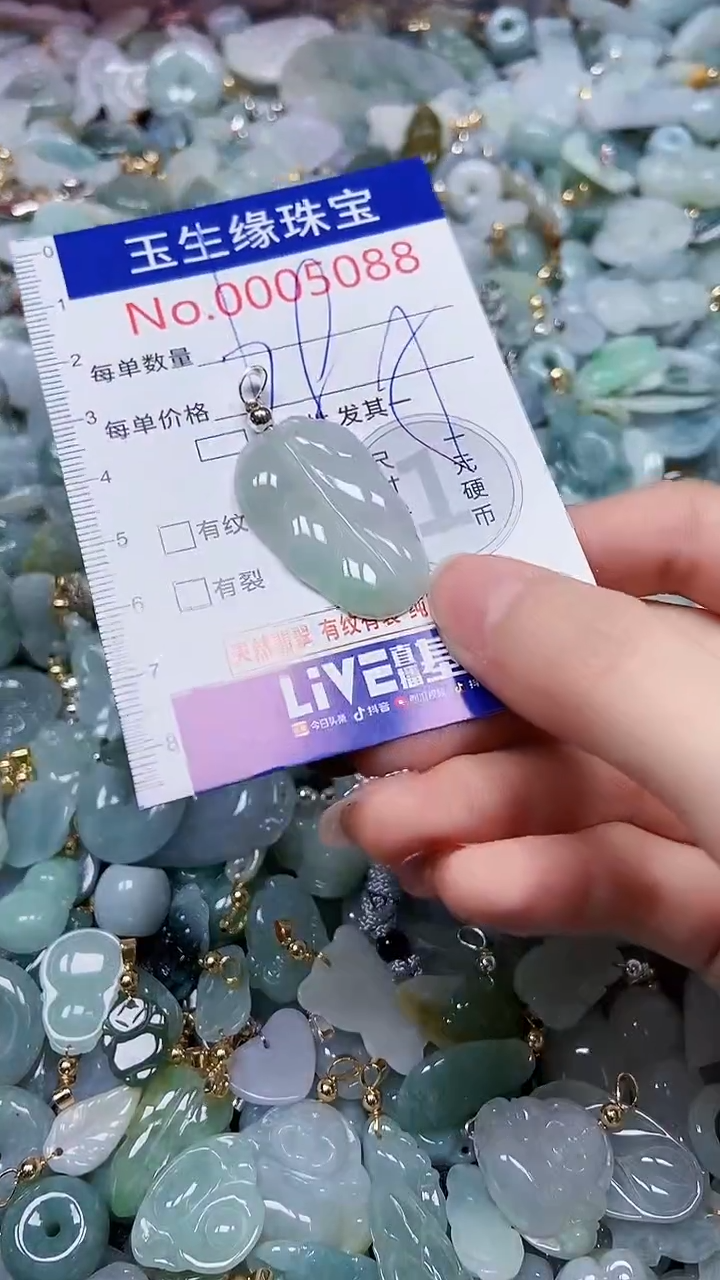 【闪购商品】翡翠颈饰未镶嵌闪购00005088