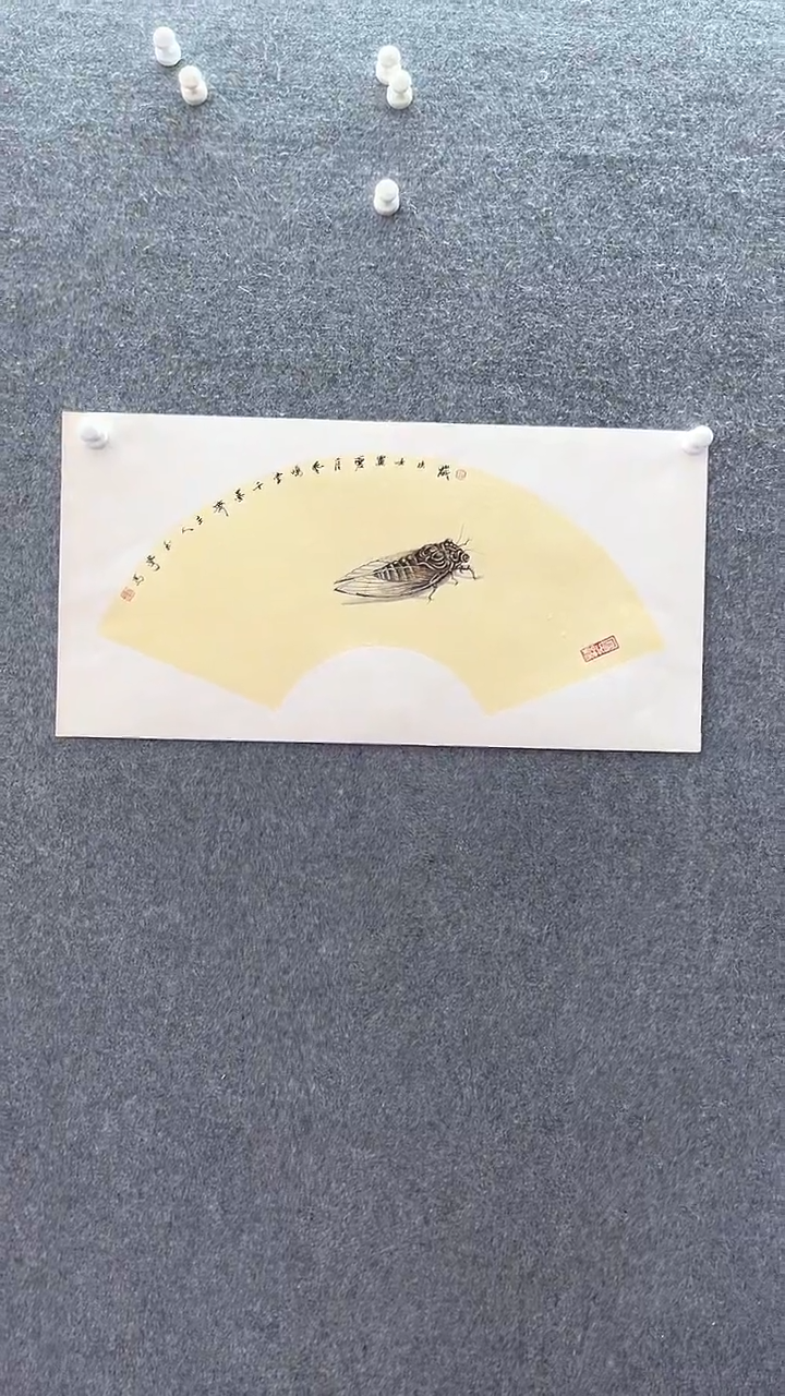 【闪购商品】国画卡纸婵；；；；；