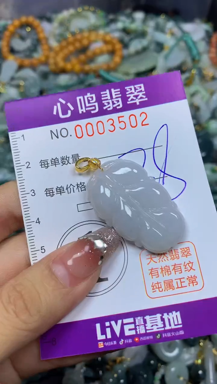 【闪购商品】翡翠颈饰未镶嵌闪购003502