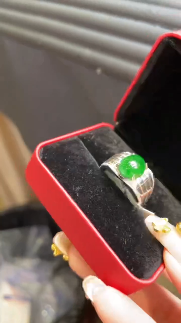 【闪购商品】翡翠颈饰未镶嵌      *185