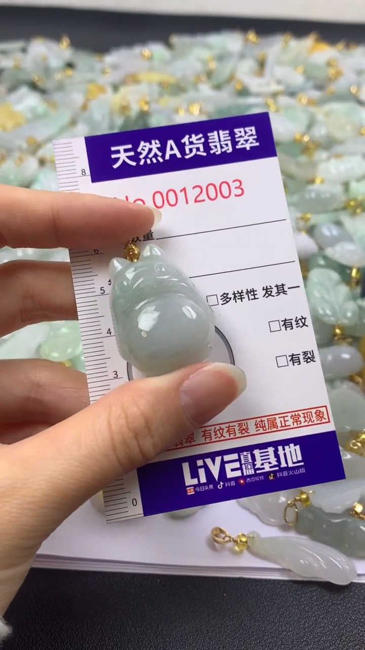 颈饰未镶嵌翡翠1