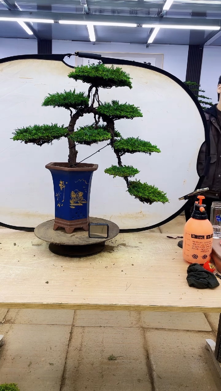 无花朵千*鹤0000000000000