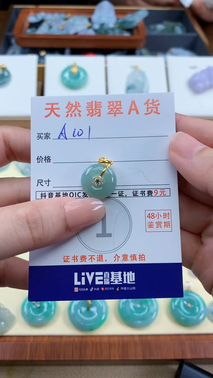 颈饰未镶嵌翡翠天然A货翡翠挂件