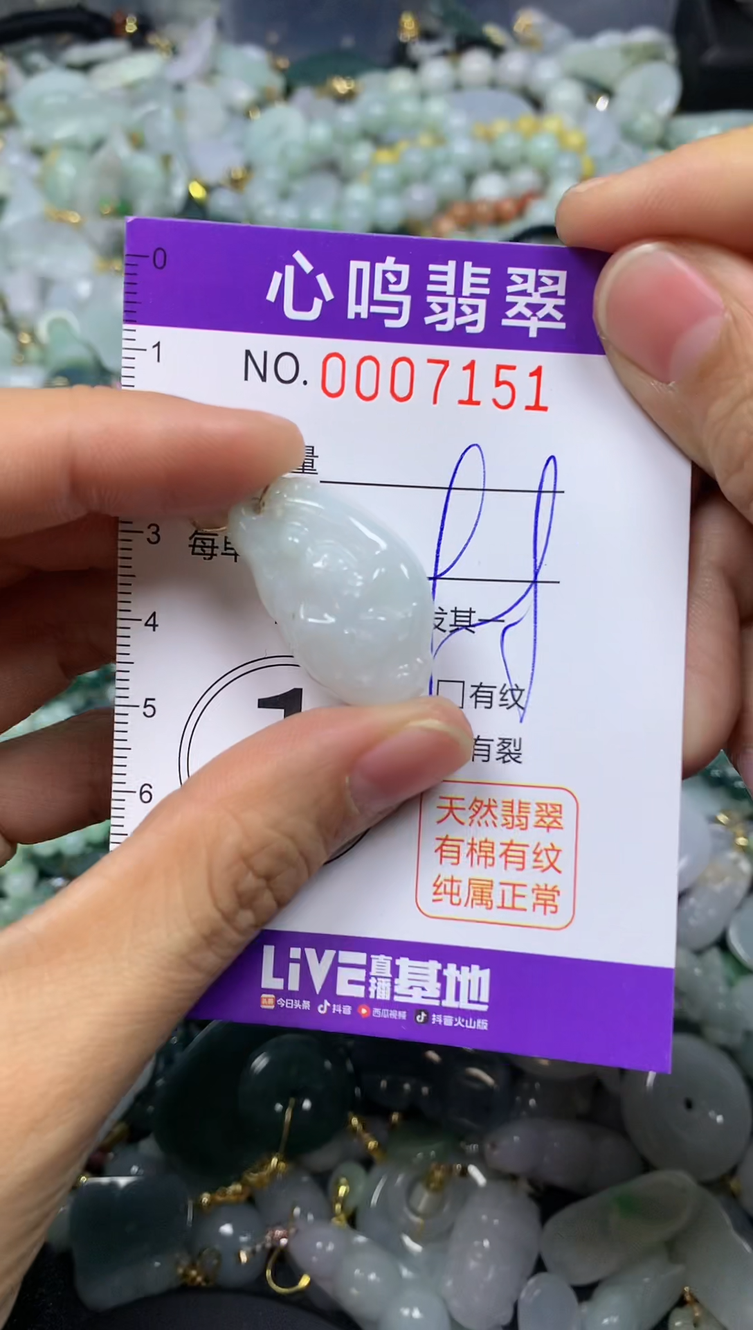 【闪购商品】翡翠颈饰未镶嵌闪购007151