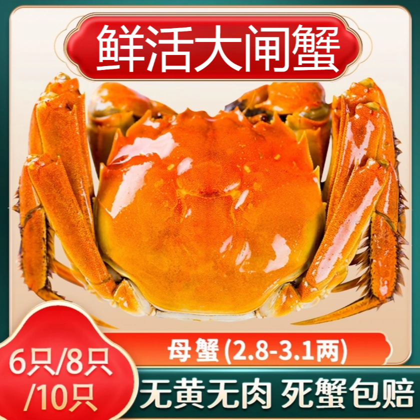 【活蟹】大闸蟹母蟹2.8两-3.1两网兜装6-11只